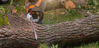 Best Lawn Drainage Solutions  in Claremont, CA